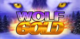 surya123ok Wolf Gold